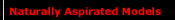 Naturally Aspirated Models